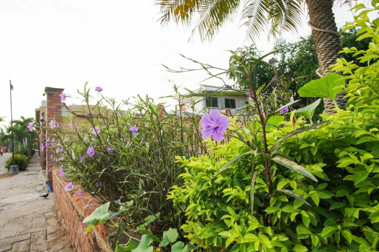 Bungalows Maria Teresa Rincon de Guayabitos Dış mekan fotoğraf
